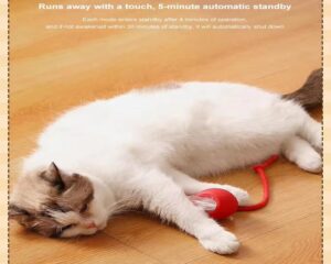 electric cat toy
