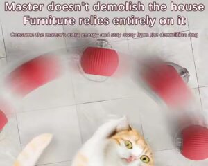 electric cat toy