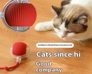 electric cat toy