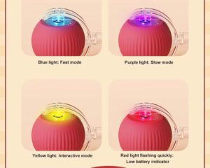 electric cat toy
