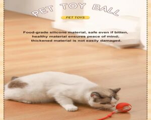 electric cat toy