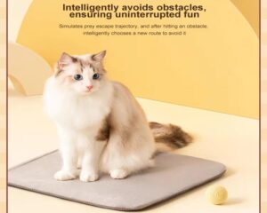 electric cat toy