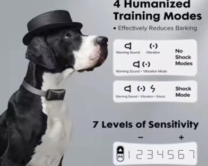 dog bark collar for small dogs