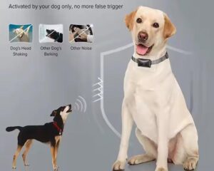 dog bark collar for small dogs