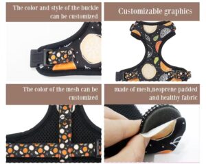 no pull dog harness and leash
