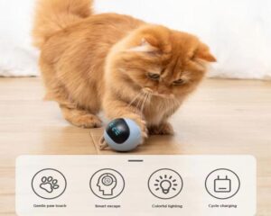 interactive cat ball