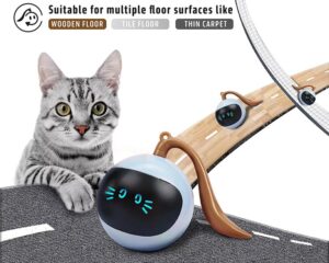 interactive cat ball