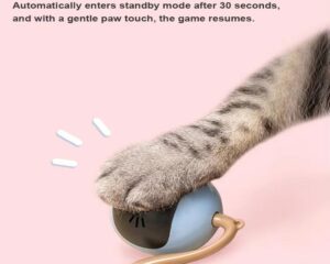 interactive cat ball