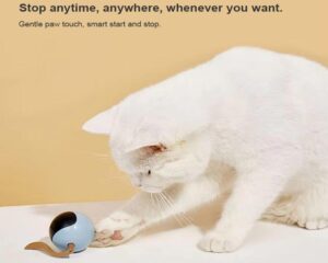 interactive cat ball