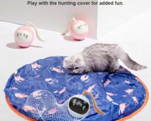 interactive cat ball