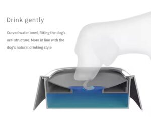 no spill bowls for dogs 