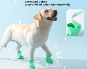 large dog rain boots