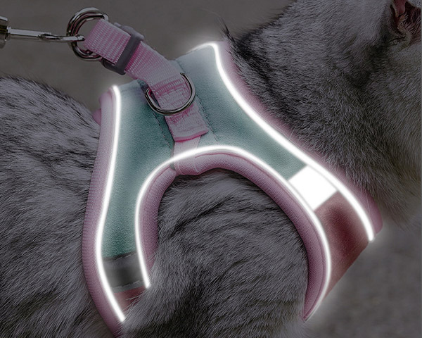 cute cat harness, cat harness with leash​, cat harnesses for walking​