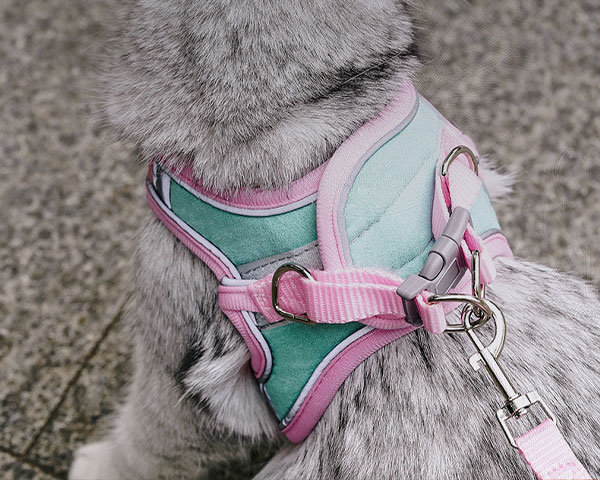 cute cat harness, cat harness with leash​, cat harnesses for walking​