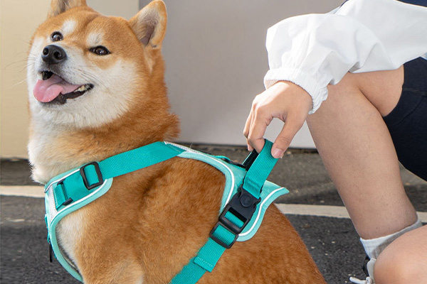 lightweight dog harness, lightweight dog harness for summer​