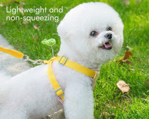harnesses for dogs