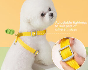 harnesses for dogs