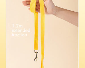 harnesses for dogs