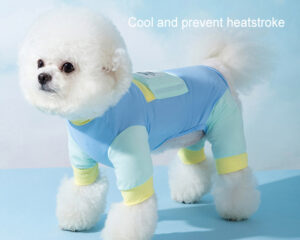 summer clothing for dogs