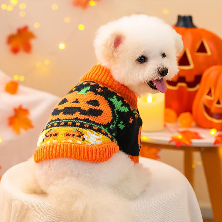 halloween costume ideas for pets, funny halloween costumes for dogs, halloween dog toys, halloween cat toys, safe halloween treats for dogs and cats, halloween candy safety, pet halloween safety, halloween accessories for pets