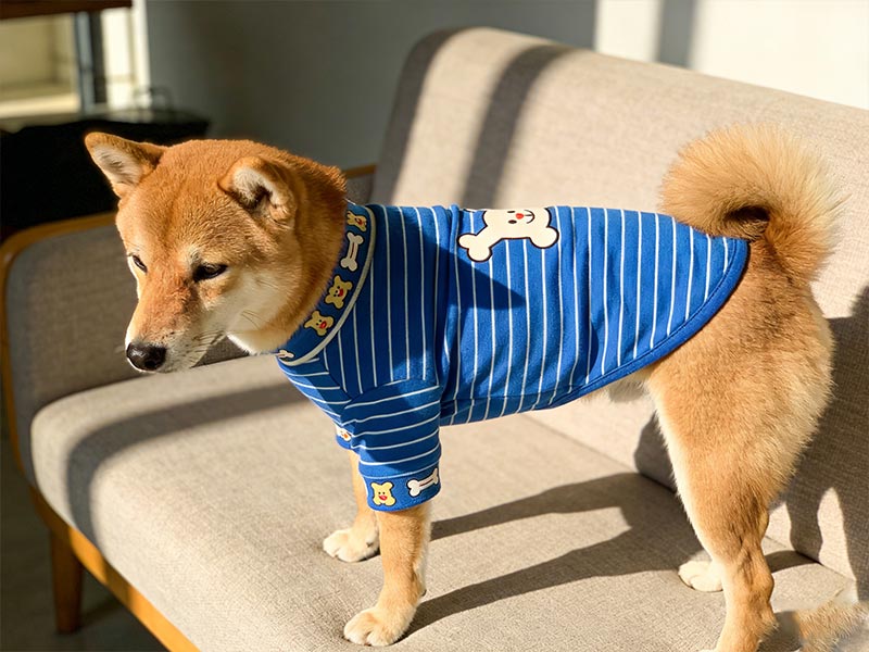 wholesale dog clothes,dog apparel manufacturers, bulk dog clothing, pet store dog apparel,dog jackets in bulk,wholesale dog sweaters