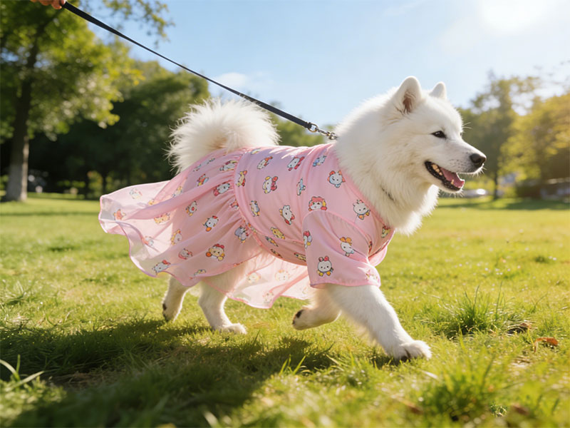 dog cooling coats, cooling vests for dogs, dog apparel manufacturers, dog clothing suppliers