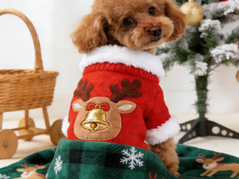 christmas dog supplies, christmas dog toys wholesale, bulk christmas dog toys, wholesale dog clothes manufacturers, wholesale dog clothes, dog christmas presents, dog products supplier