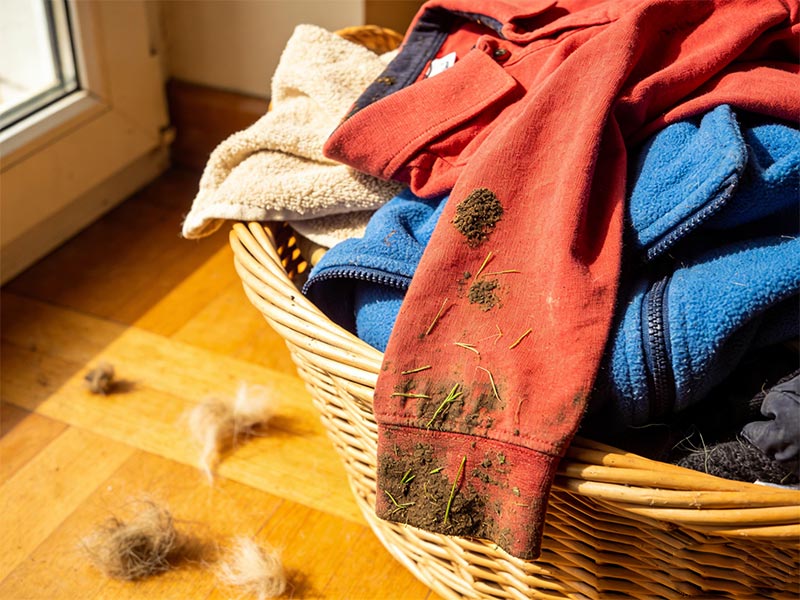 how to wash dog clothes, apparel care, pet clothing manufacturer, custom pet clothing,